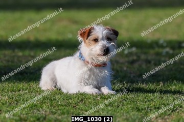 IMG_1030 (2).jpg