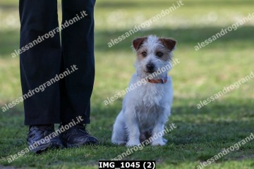IMG_1045 (2).jpg