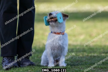 IMG_1060 (2).jpg