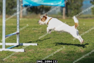 IMG_1094 (2).jpg