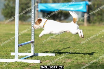 IMG_1097 (2).jpg