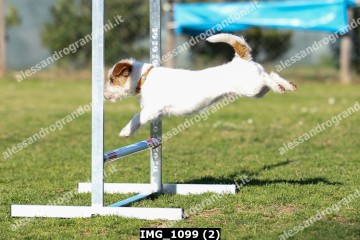 IMG_1099 (2).jpg