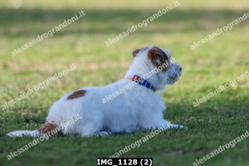 IMG_1128 (2).jpg