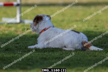 IMG_1160 (2).jpg
