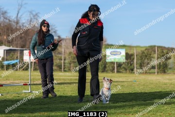 IMG_1183 (2).jpg