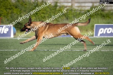 IMG_0425.jpg