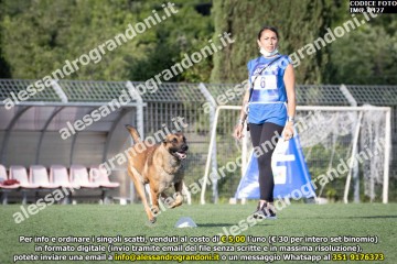 IMG_0427.jpg