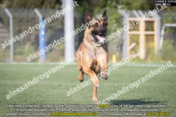 IMG_0433.jpg