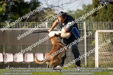 IMG_0562.jpg