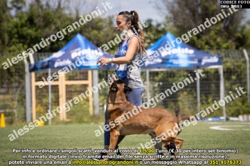 IMG_0803.jpg
