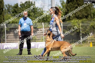 IMG_0805.jpg