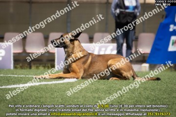 IMG_0820.jpg