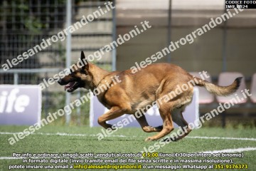 IMG_0824.jpg