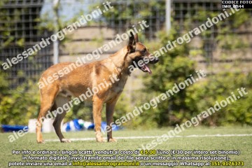 IMG_0844.jpg