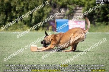 IMG_0852.jpg