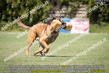 IMG_0859.jpg
