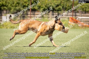 IMG_0861.jpg
