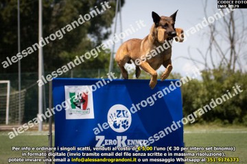 IMG_0879.jpg