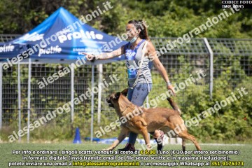 IMG_0895.jpg