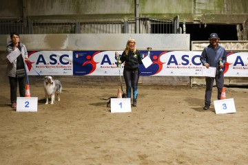 IMG_3427.jpg