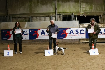 IMG_3643.jpg