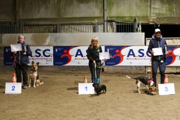 IMG_3800.jpg
