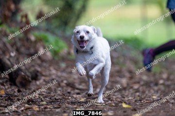 IMG_7846.jpg