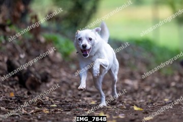IMG_7848.jpg