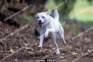 IMG_7859.jpg