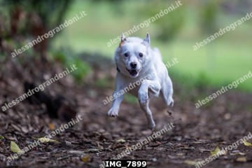 IMG_7899.jpg