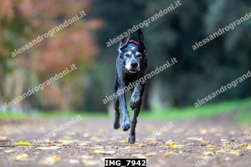 IMG_7942.jpg