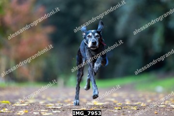IMG_7953.jpg