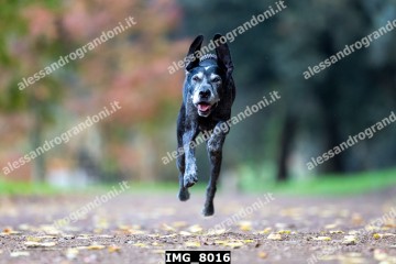 IMG_8016.jpg