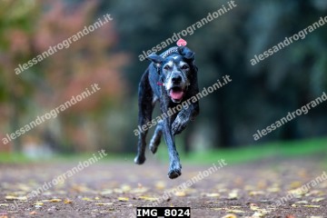 IMG_8024.jpg