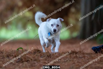 IMG_8054.jpg