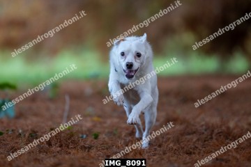 IMG_8091.jpg