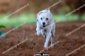 IMG_8092.jpg