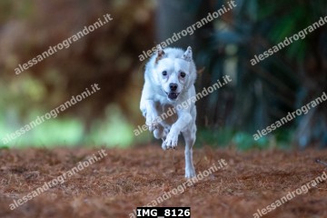 IMG_8126.jpg
