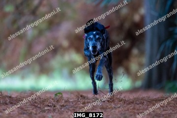 IMG_8172.jpg