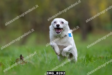 IMG_8292.jpg