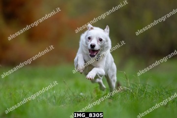 IMG_8305.jpg
