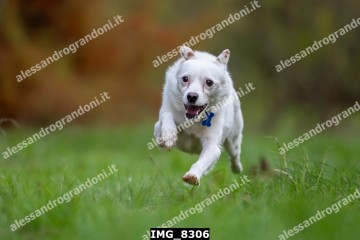 IMG_8306.jpg
