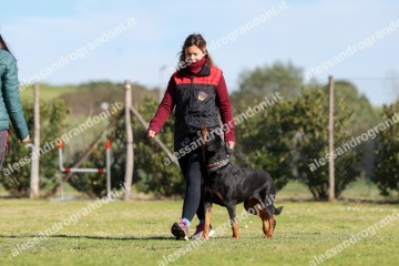IMG_2213.jpg