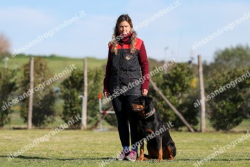 IMG_2230.jpg