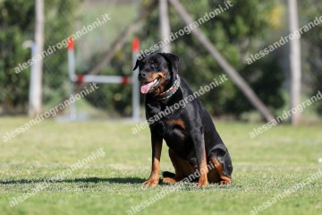 IMG_2244.jpg