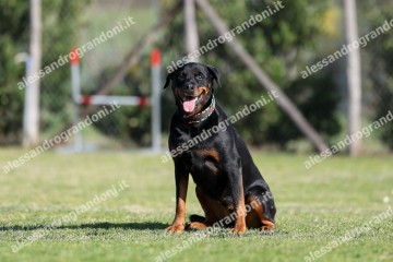 IMG_2247 (2).jpg