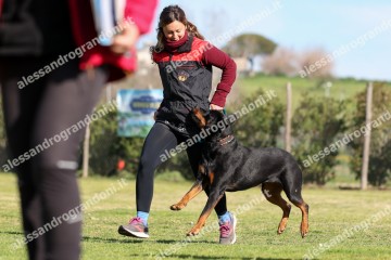 IMG_2279.jpg