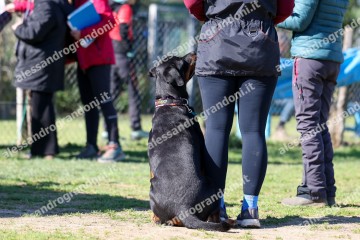 IMG_4266.jpg