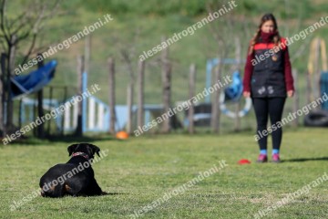 IMG_4274.jpg