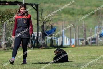 IMG_4283.jpg